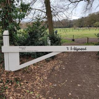 Sallands boschalet - 4