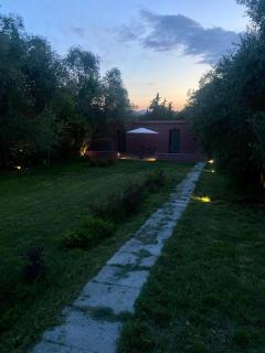 The Barn among olive trees - - 9