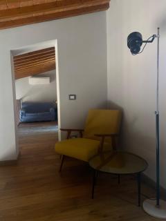 The Barn among olive trees - 7