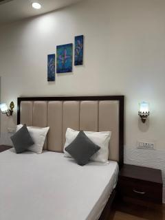 Hotel Sparkle Inn - Jaipur - 4