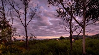 Little Beach Resort - Four Mile Creek - 9