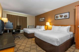Comfort Inn - Brandon - 5