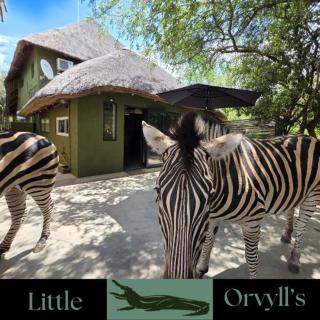 Little Orvyll's - Marloth Park - 0