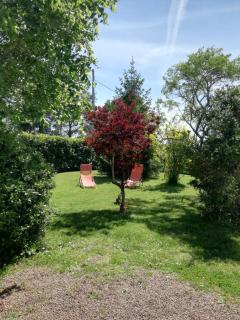 Gite de la Closerie - Oisly - 3