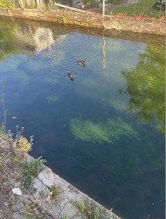 Peaceful Garden Room Near City & Sites - 2