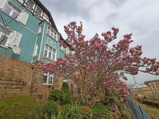 Apartmán Waldruh s terasou - Jalŭvčí - 5