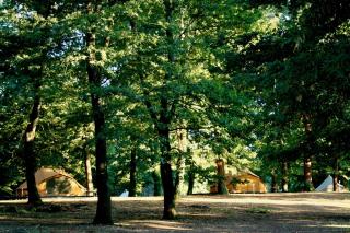 OAK Glamping Relax - Manziana - 2