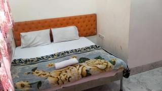 Hotel Ram Palace - New Delhi - 6