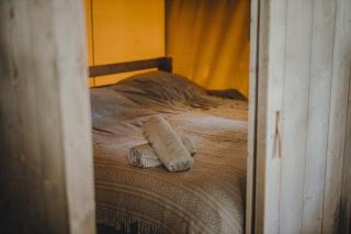 Wolny Las Glamping na Mazurach - Ławki - 8