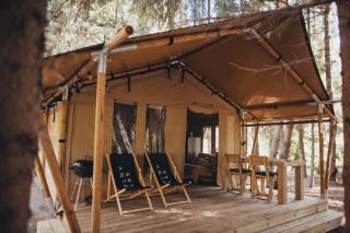 Wolny Las Glamping na Mazurach - Ławki - 7