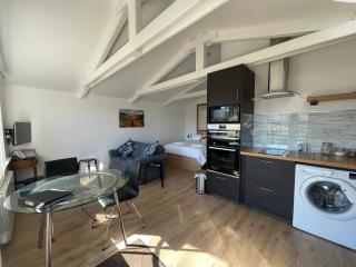 Spacious lodge with king sized bed - 3