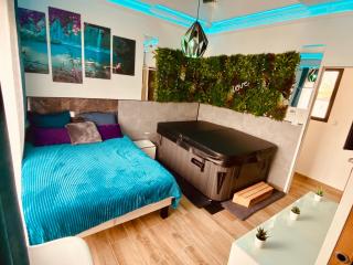 Logement 2 chambres proche MEETT & aéroport - Aussonne - 4
