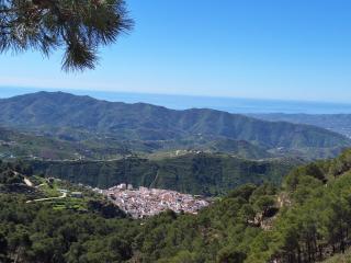 Casa Alta - exclusive large luxury private villa, large pool, amazing views, on the edge of the village and next to natural park - Canillas de Aceituno - 7