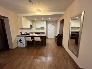 Goldenfish suite apartment - Hradiště - 7