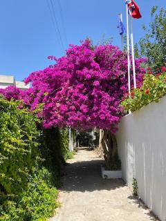 Kavala Hotel Bodrum - Bodrum City - 2