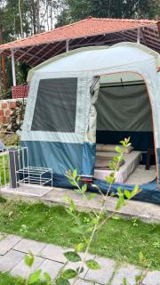 HOUSE OF PEPPER COFFEE Campsite & Cottage - Chikmagalūr - 9