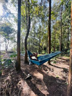 HOUSE OF PEPPER COFFEE Campsite & Cottage - Chikmagalūr - 8