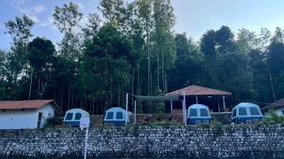HOUSE OF PEPPER COFFEE Campsite & Cottage - Chikmagalūr - 5