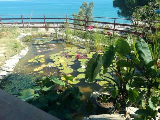 La Pergola sul mare - Mandra Capreria - 3