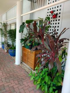 Cairns Poolside Apartment - 1