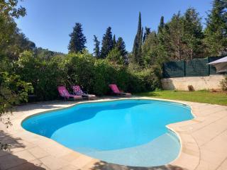 VALBONNE Villa récente avec piscine - Valbonne - 6