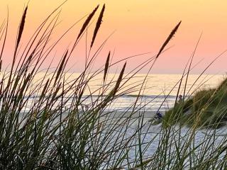 5 person holiday home in Henne-By Traum - Henne Strand - 3