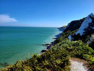 Central, Modern, 2 beds with Garden - Eastbourne - 5