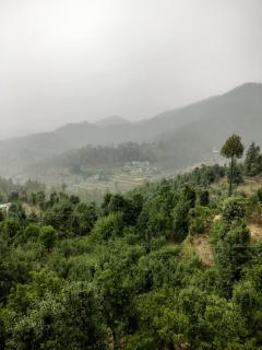 Ekantha Homestays & Resorts - 4