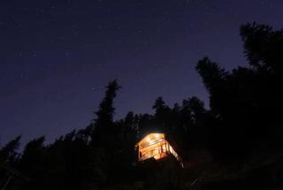 Himalayan Quails Nest Treehouse - 9