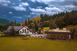 Hotel Ieremia Movila - 4