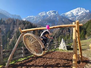 ALMRESIDENZ UNTERRAIN -1 km BY CAR DISTANCE SKI SLOPES KRONPLATZ - Olang - 3