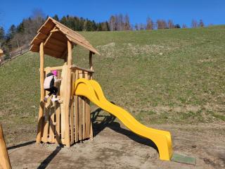 ALMRESIDENZ UNTERRAIN -1 km BY CAR DISTANCE SKI SLOPES KRONPLATZ - Olang - 1