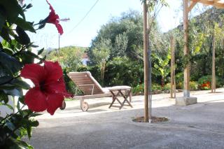 Casa Rural Cortijo Paredones - 4