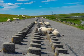 Ferienhaus Wattwurm - 3