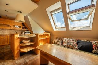 WHY NOT Apartamenty widokowe Szymaszkowa Residence, z basenem - Kościelisko - 1