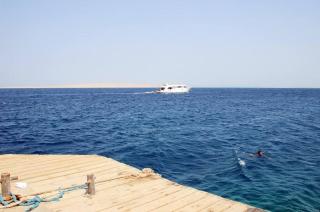 Tiba Golden Resort one bedroom - Hurghada - 5