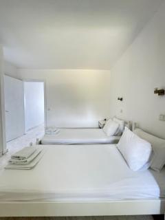 Tao Te Wellness - Polychrono - 5