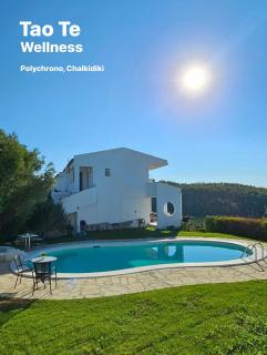 Tao Te Wellness - Polykhrono - 0