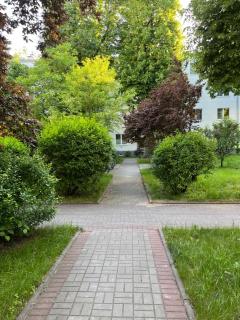 Newly redone studio in green Zoliborz - Warsaw - 1