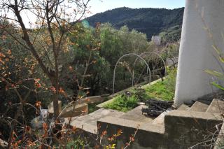 Vue mer 66 - Cerbère - 1