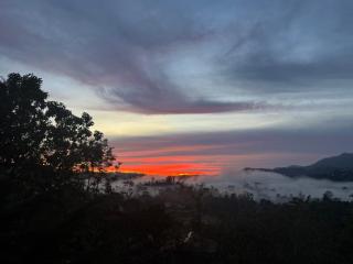 The Wood Top - Bandarawela - 3