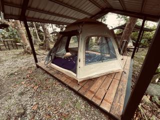 Jimmy Explorer Campsite and Dive Center - Lanyu - 6