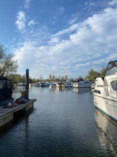 The River Thames - Surrey Boat - 6