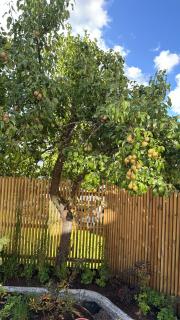 Central villa with social spaces - Borås - 4
