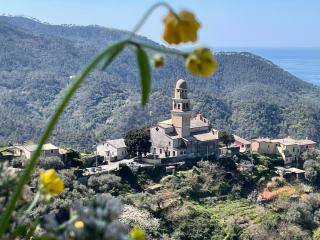 Jolie Maison - Levanto - 8