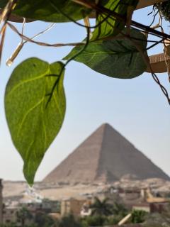Family view of the pyramids - Il Cairo - 4