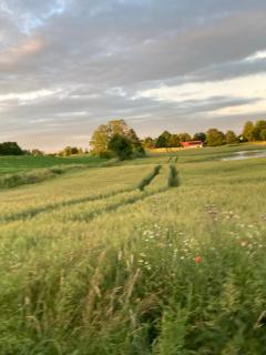 Kolorowe Klimaty na Mazurach - Użranki - 6