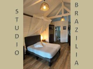 Studio BRAZILIA Bois et Nature, terrasse avec vue sur les Pitons - 0
