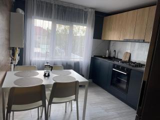 V apartament - ultra central Otopeni - Otopeni - 3