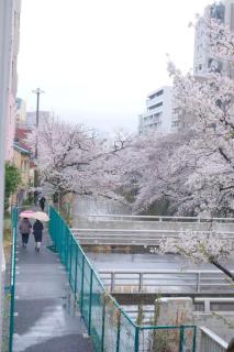 Waseda House - 7